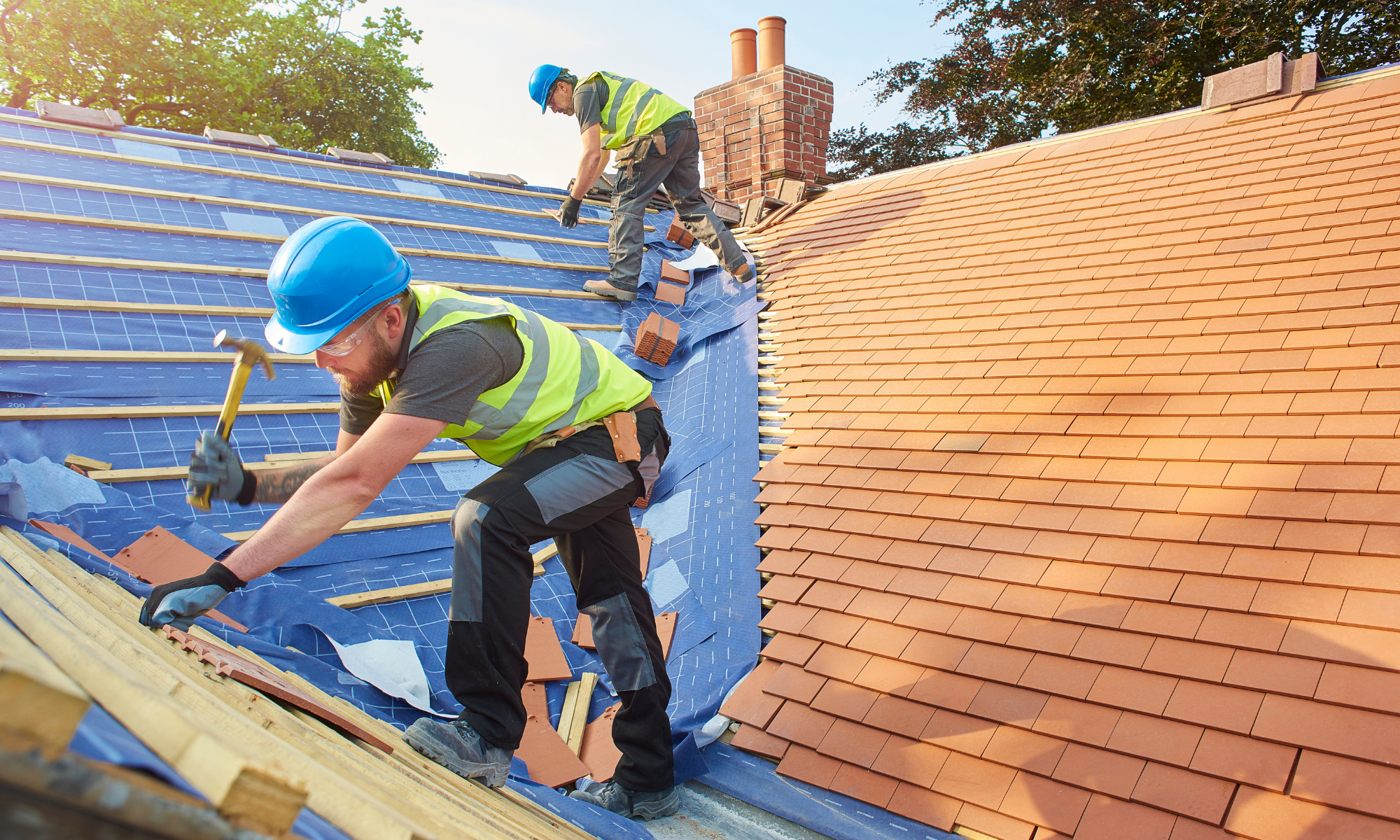Descripción